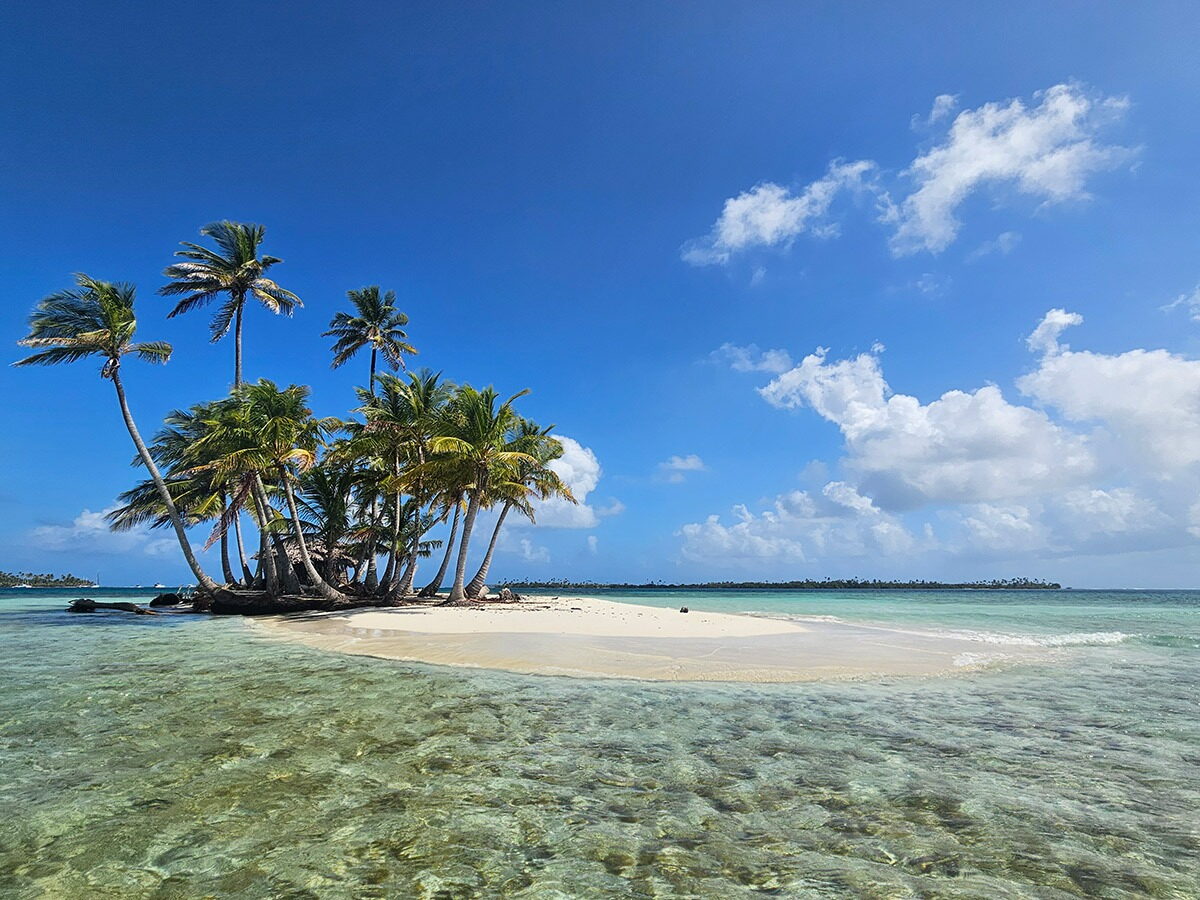 Isla con palmeras en San Blas