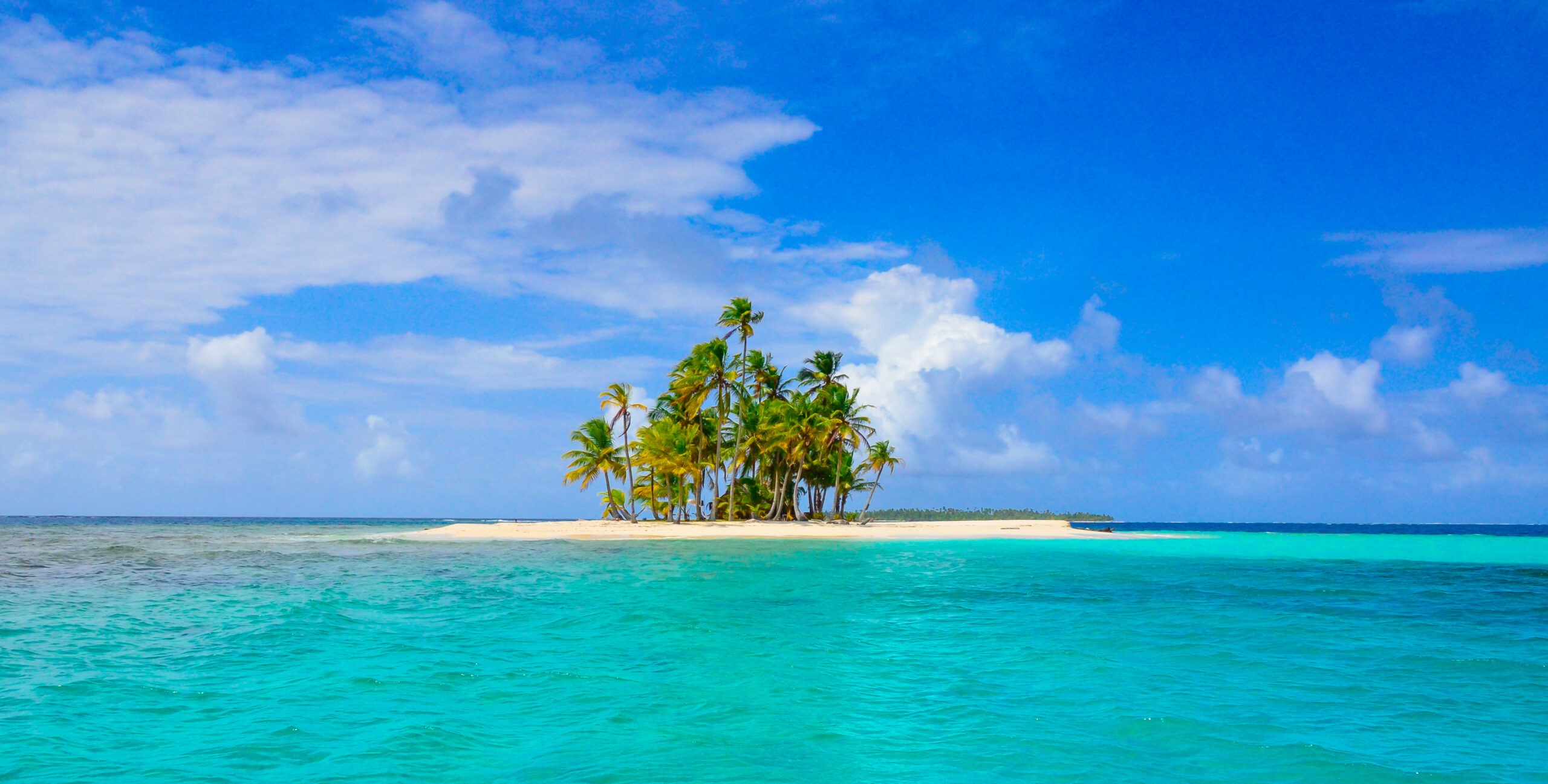 Calm water beside a palm island